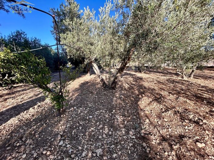 Image No.28-5 Bed Country House for sale