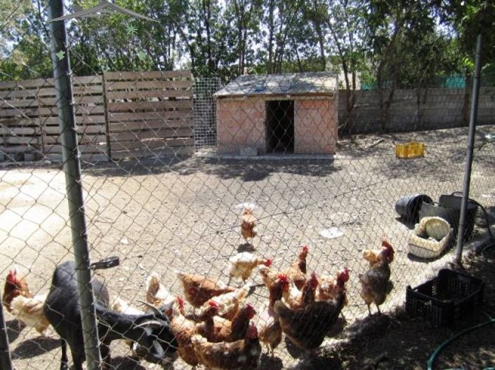 Image No.32-4 Bed Country House for sale