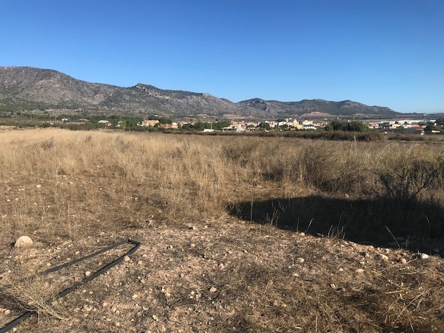 Image No.2-Plot for sale