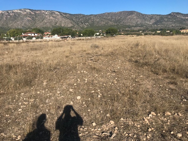 Image No.8-Plot for sale