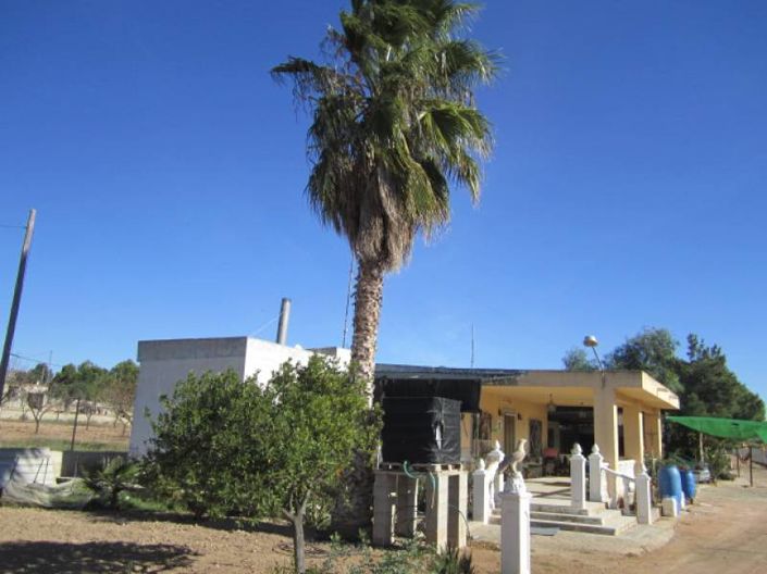 Image No.2-Maison de campagne de 4 chambres à vendre à Hondón de los Frailes