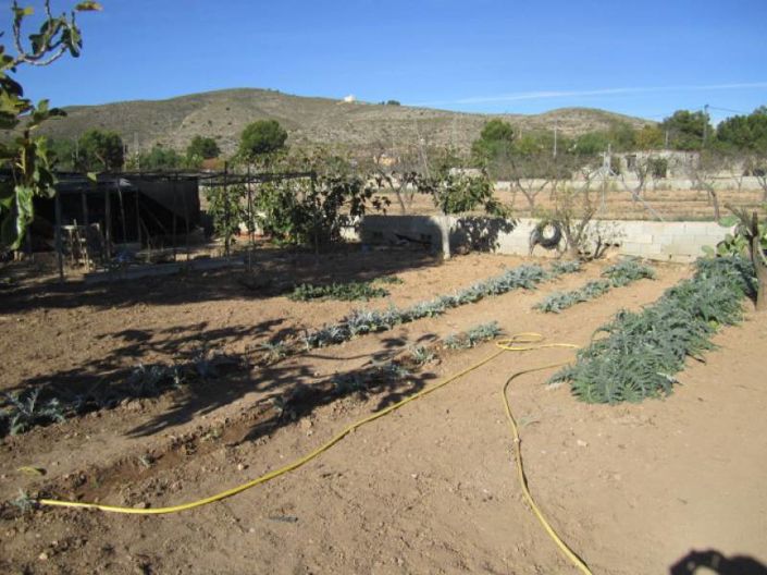 Image No.26-Maison de campagne de 4 chambres à vendre à Hondón de los Frailes
