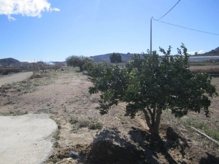Image No.26-Maison de campagne de 6 chambres à vendre à Aspe