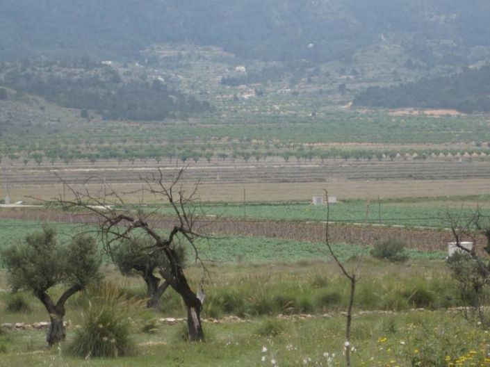 Image No.2-Plot for sale