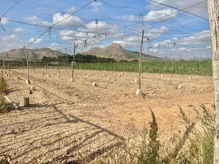 Image No.4-Country House for sale