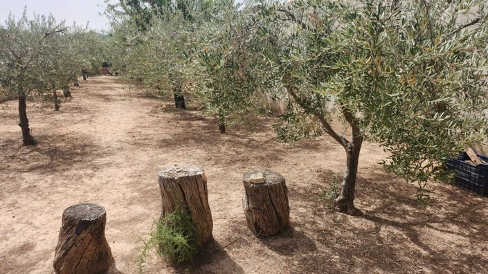 Image No.21-8 Bed Villa for sale