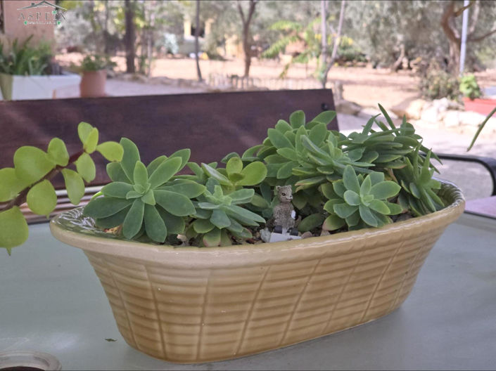 Image No.10-Maison de campagne de 2 chambres à vendre à Hondón de los Frailes