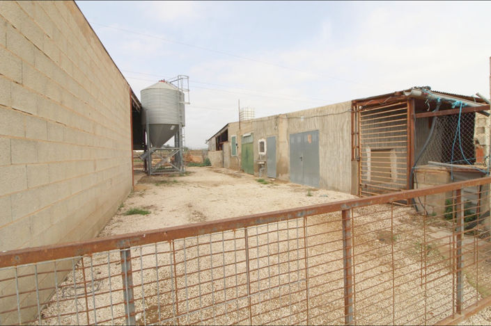 Image No.10-Maison de campagne de 2 chambres à vendre à Aspe