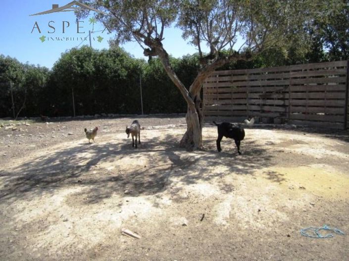 Image No.34-4 Bed Country House for sale