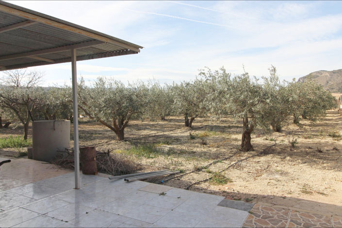 Image No.25-7 Bed Country House for sale