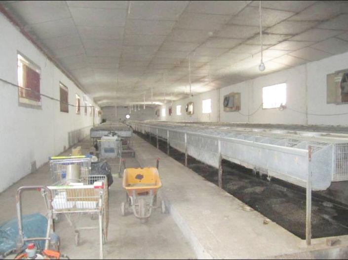 Image No.17-4 Bed Country House for sale