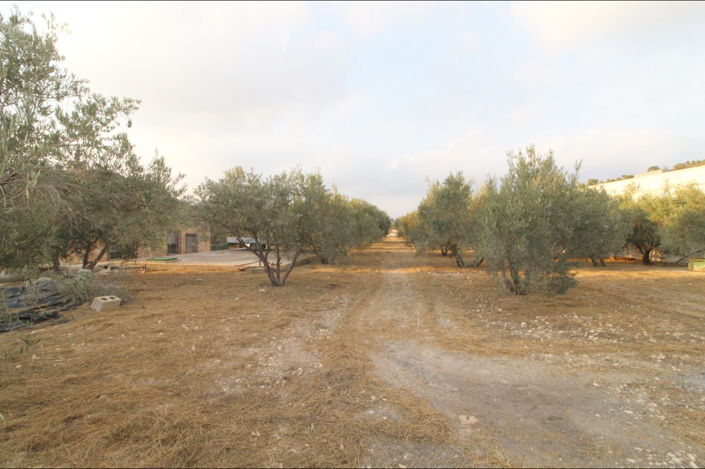 Image No.18-4 Bed Country House for sale