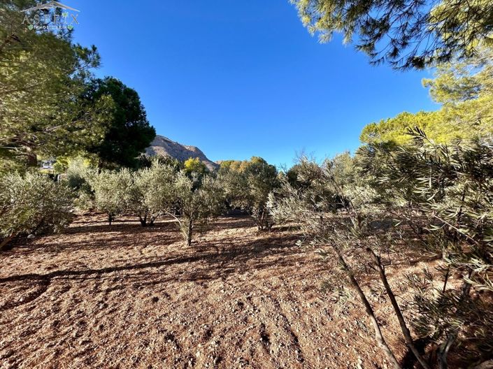 Image No.27-Maison de campagne de 5 chambres à vendre à Hondón de las Nieves