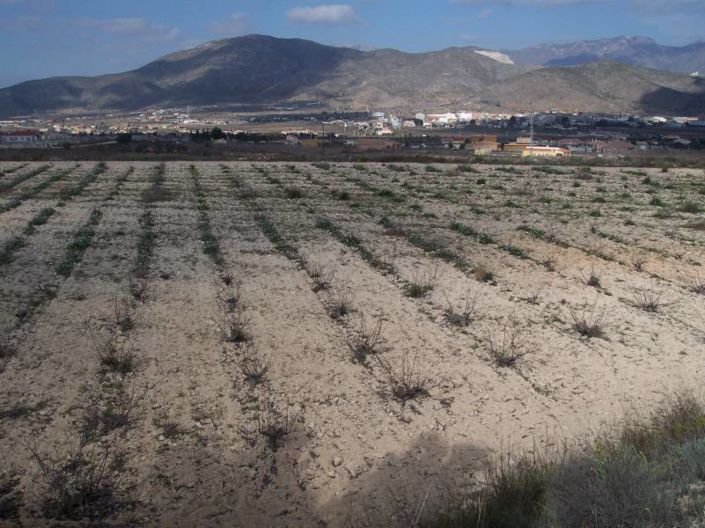 Image No.3-Plot for sale