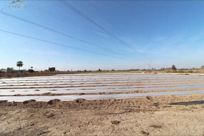 Image No.15-4 Bed Country House for sale