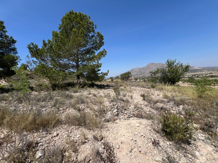 Image No.29-Plot for sale