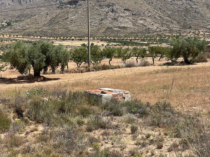 Image No.3-Plot for sale