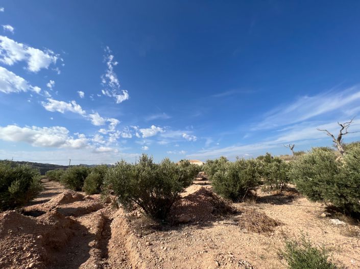 Image No.8-3 Bed Country House for sale