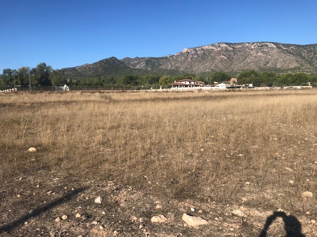 Image No.6-Plot for sale