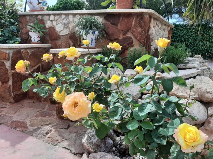 Image No.7-Maison de campagne de 6 chambres à vendre à Hondón de los Frailes