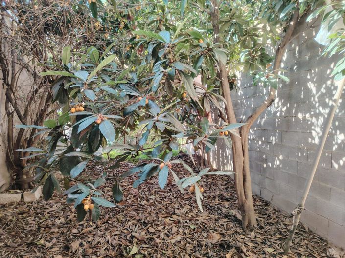 Image No.10-Maison de ville de 6 chambres à vendre à Pinoso