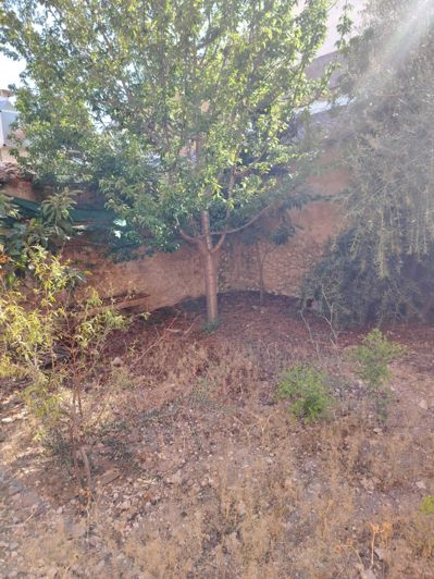 Image No.13-Maison de ville de 6 chambres à vendre à Pinoso