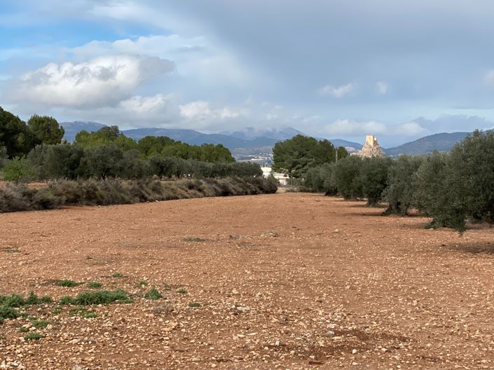 Image No.30-Maison de campagne de 2 chambres à vendre à Sax