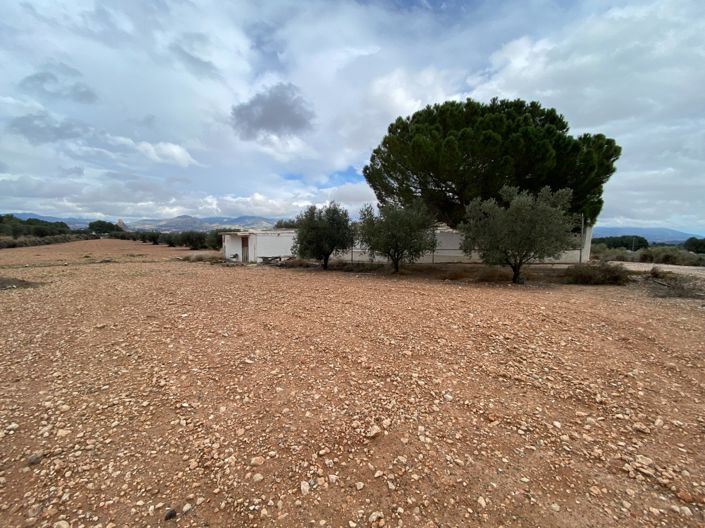 Image No.32-Maison de campagne de 2 chambres à vendre à Sax