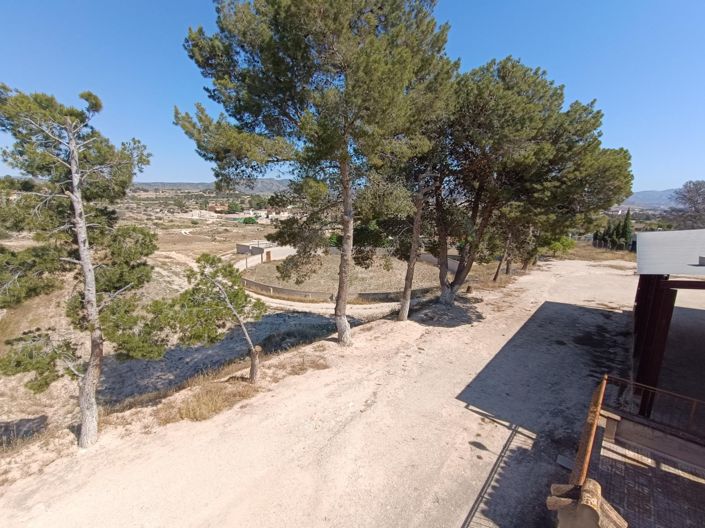 Image No.33-Maison de campagne de 6 chambres à vendre à Monóvar