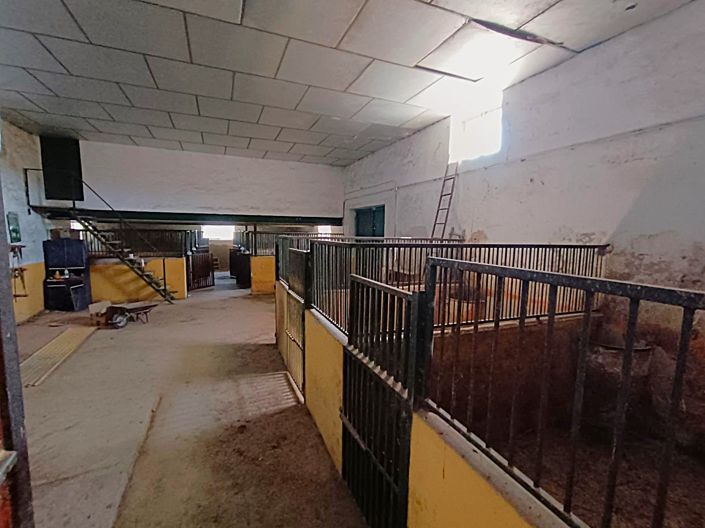 Image No.35-Maison de campagne de 6 chambres à vendre à Monóvar