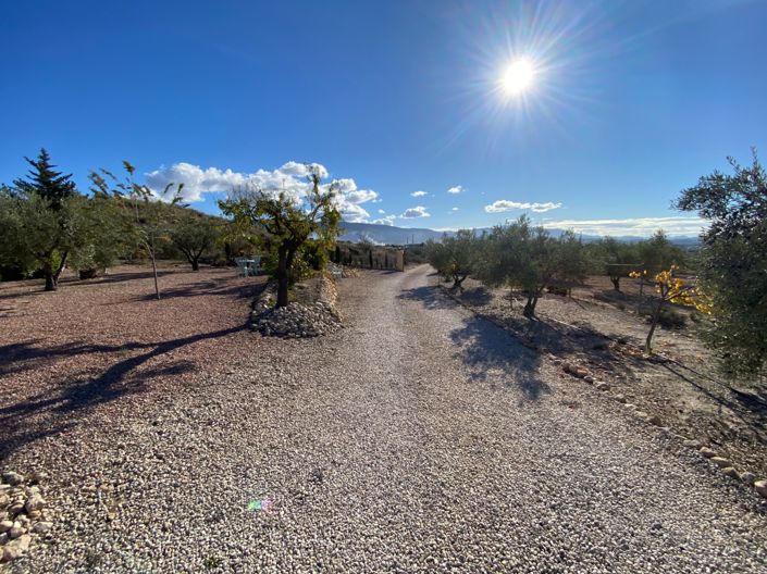 Image No.33-3 Bed Country House for sale