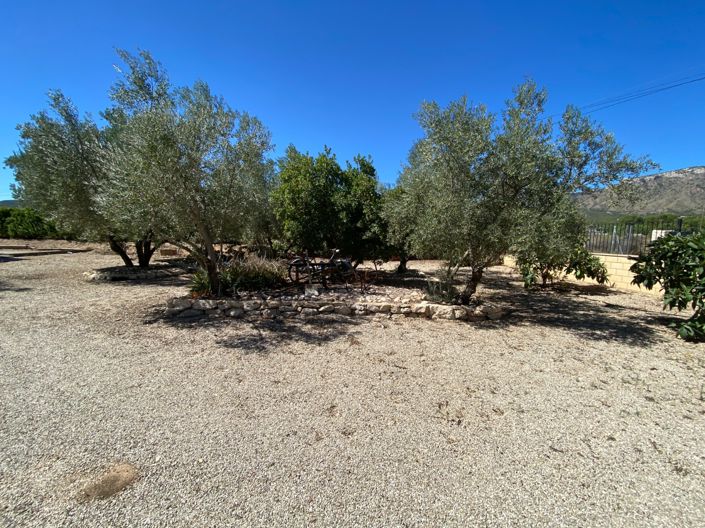 Image No.25-Maison de campagne de 3 chambres à vendre à Salinas