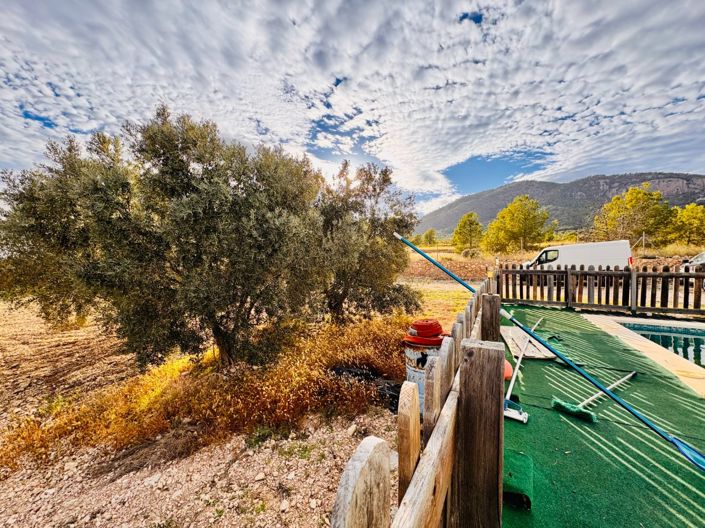 Image No.25-Maison de campagne de 3 chambres à vendre à Monóvar