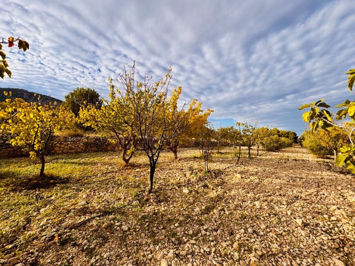 Image No.27-Maison de campagne de 3 chambres à vendre à Monóvar