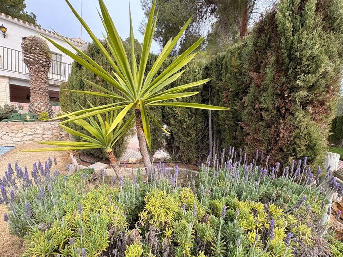 Image No.25-4 Bed Country House for sale