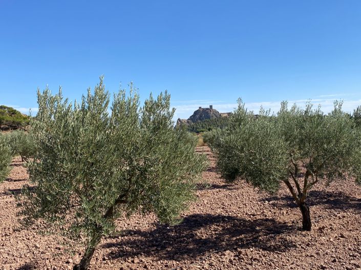 Image No.12-4 Bed Country House for sale