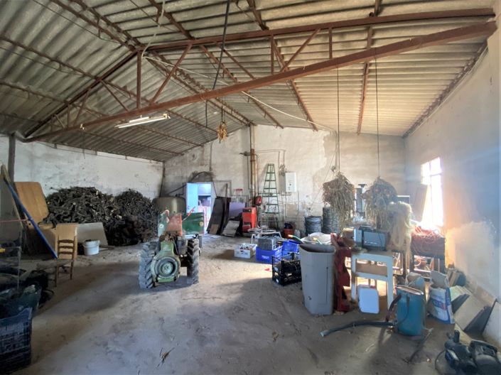 Image No.23-4 Bed Country House for sale