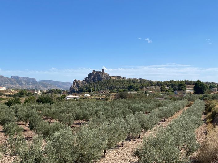 Image No.3-4 Bed Country House for sale