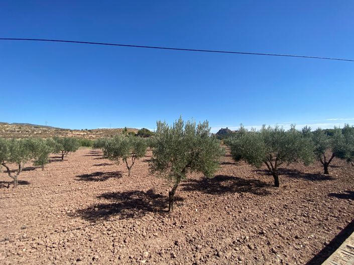 Image No.4-4 Bed Country House for sale