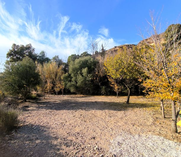 Image No.25-5 Bed Country House for sale