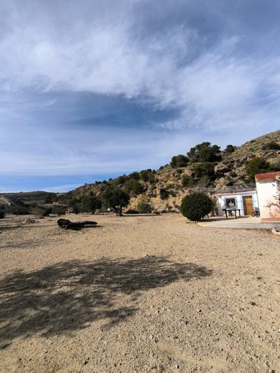 Image No.31-5 Bed Country House for sale