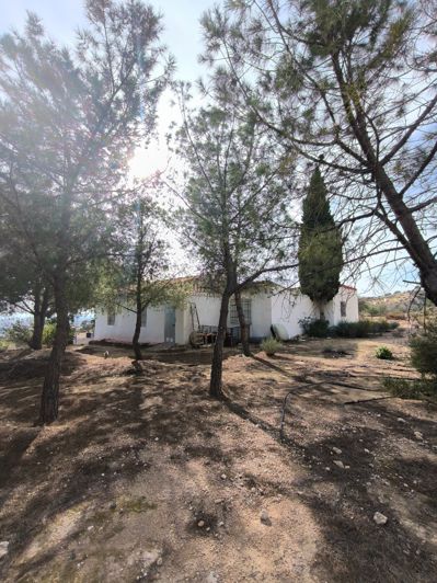 Image No.32-5 Bed Country House for sale