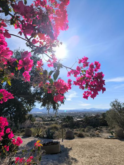 Image No.34-5 Bed Country House for sale