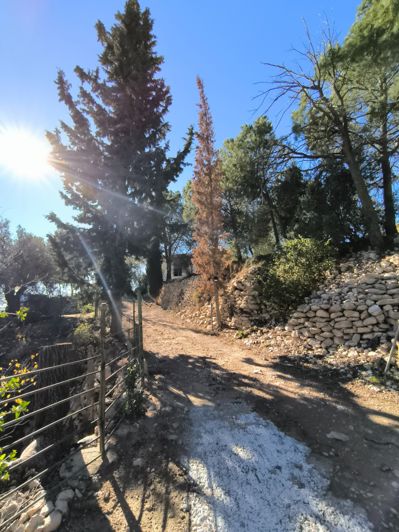 Image No.35-5 Bed Country House for sale