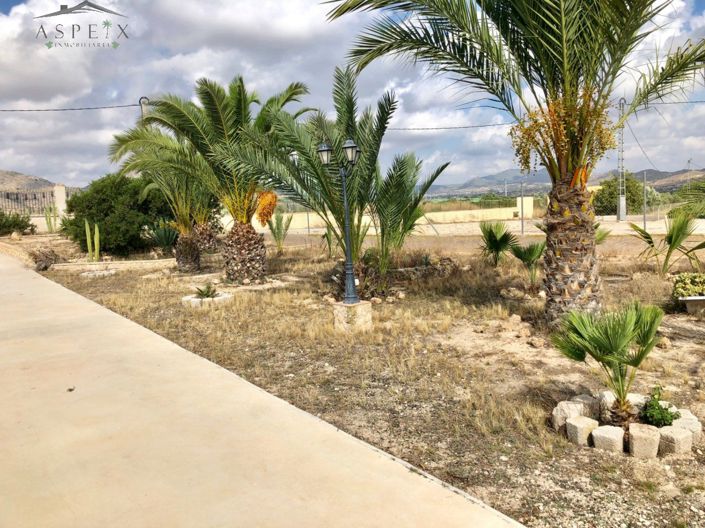 Image No.19-4 Bed Country House for sale