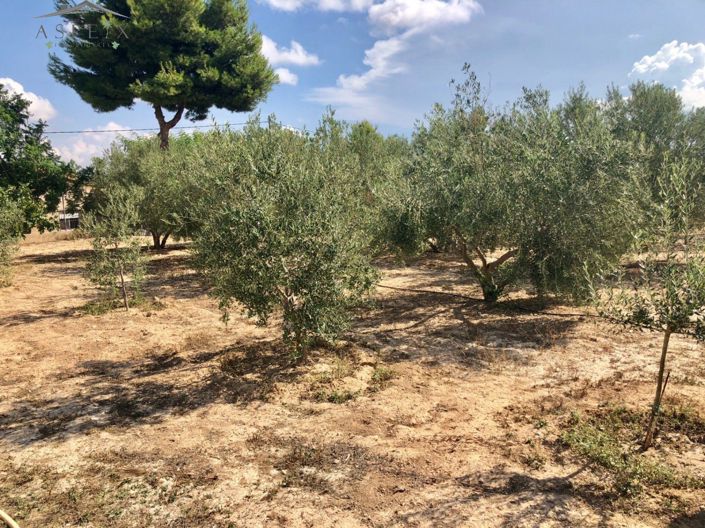 Image No.20-4 Bed Country House for sale