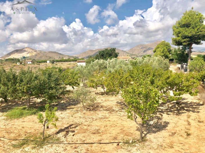 Image No.21-4 Bed Country House for sale