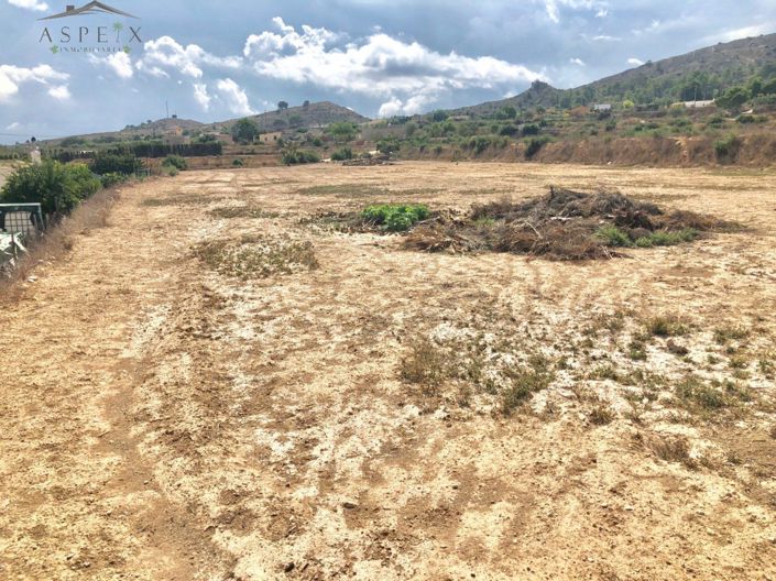 Image No.22-4 Bed Country House for sale