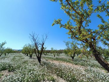 o1jmb30qtgcad1e9r1cq3vgi1b3p1v