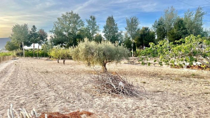 Image No.19-Maison de campagne de 5 chambres à vendre à Crevillente